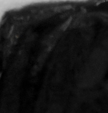wool dabb black ����������� ������� ������ 